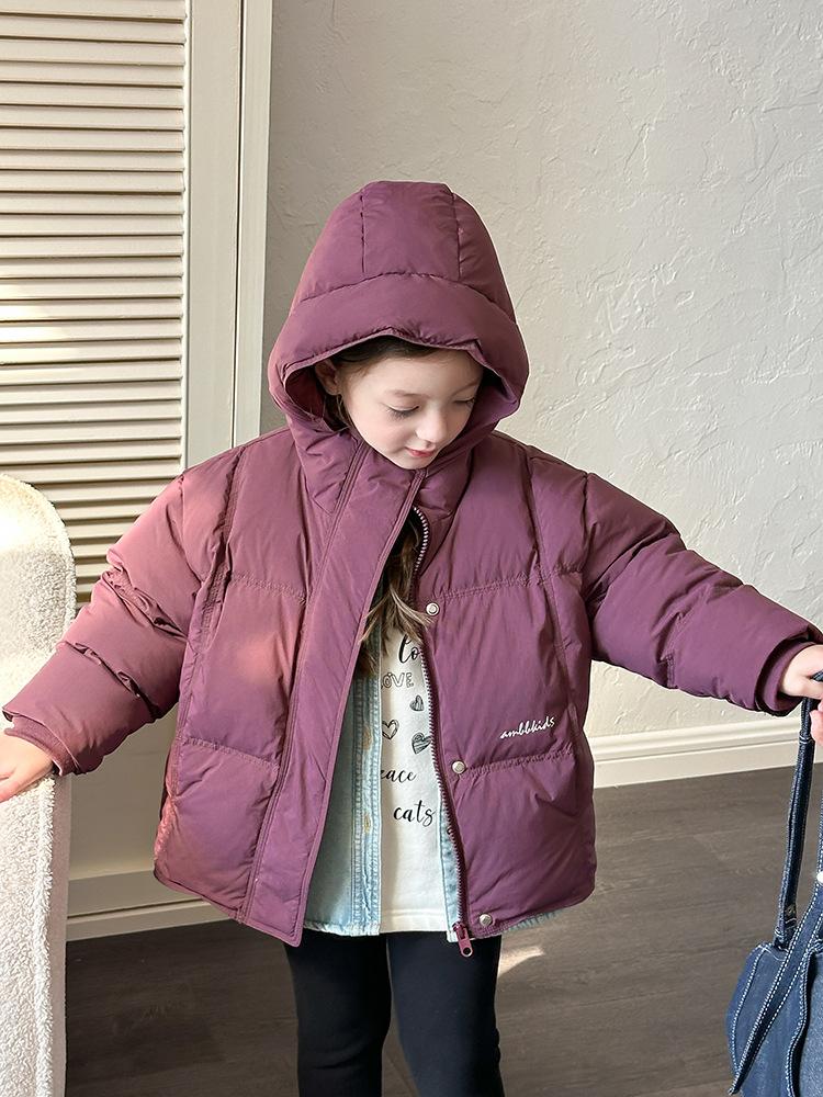 2024-11-08 110950.jpg