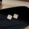 Aretes Cuadrados de Cristal con Rejilla de Zirconia y Pasador de Plata Estilo Frío de Lujo Ligero con Sentido de Diseño de Nicho Adornos para Orejas Venta al por Mayor