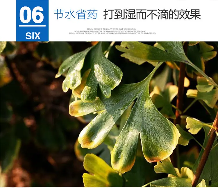详情图_12