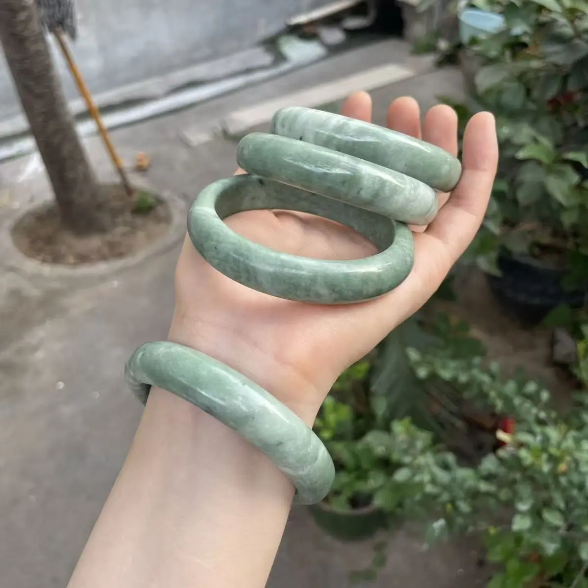 微信图片_2025-08-07_122818_342.jpg