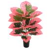 Especial transfronterizo para simulación de plantas verdes con goteo de agua, mano de Guanyin, película de color, hoja de taro, bonsái, decoración del hogar, plantas falsas.
