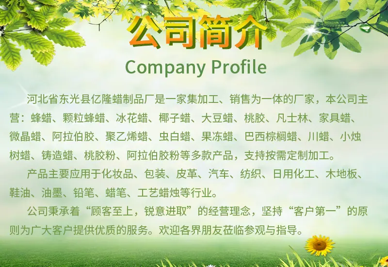 公司简介3.jpg