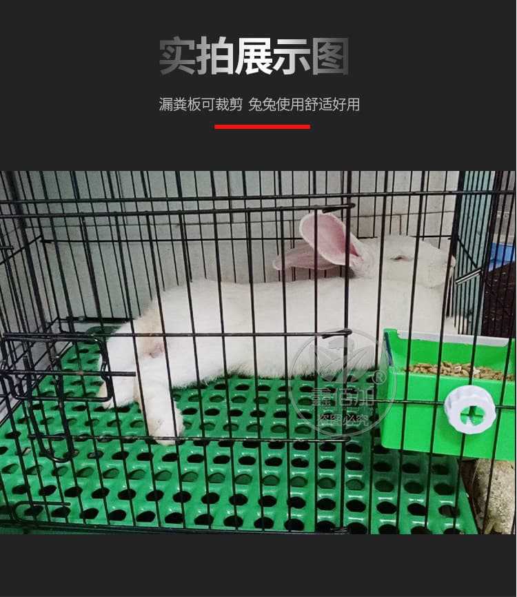 兔子漏粪板A详情页(6).jpg