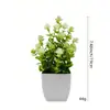 Eucalipto Camélia Planta Verde Simulada em Vaso Enfeites de Mesa em Vaso Flores Simuladas Flores Artificiais Plantas Verdes Vasos de Plástico Bonsai