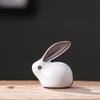 Al por mayor mini lindo conejo horno hermano puede criar mascota de té juego de té adornos bandeja de té Ru horno ternero juego de té kung fu pequeño