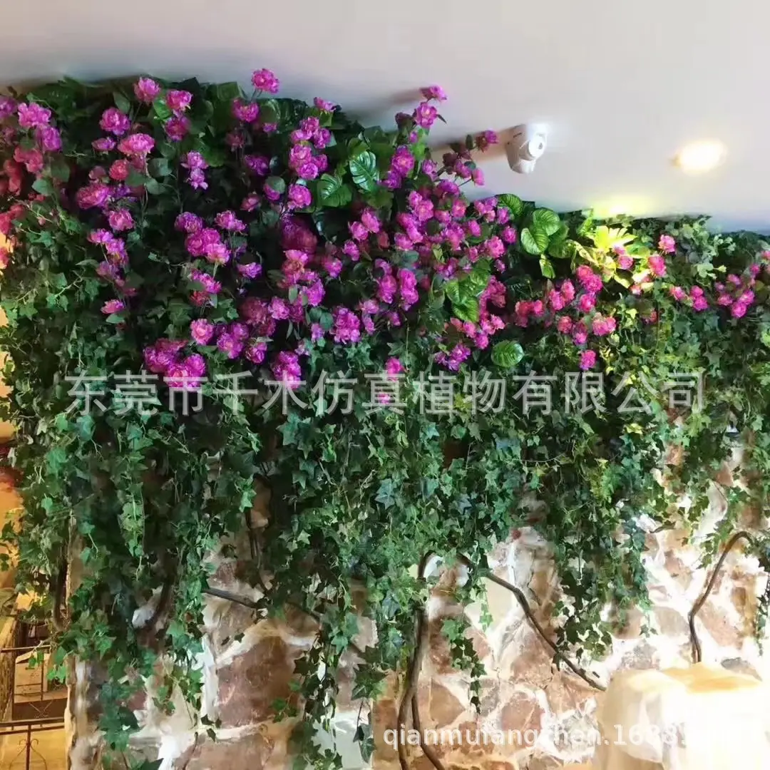 微信图片_2020022716313115