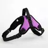 Suministros para Mascotas Chaleco Estilo Perro Correa Arnés Collar Suministros Correa para Pasear Perros Pequeños y Medianos Venta al por Mayor