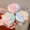2026 Novo Elástico de Cabelo de Alta Elasticidade com Acabamento em Cetim, Toque de Luxo, Argola de Cabelo Dopamina de Verão para Mulheres, Elástico Fofo para Crianças