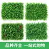 Muro de plantas de simulación imagen de moda en internet muro de paisajismo fondo de pared de planta verde de plástico cabeza de puerta decoración de interiores muro de flores artificiales