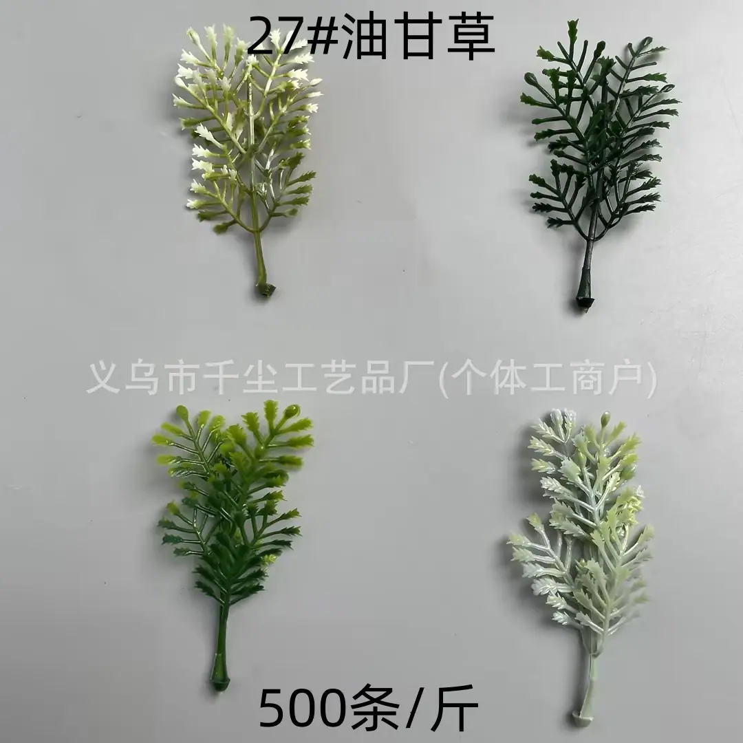 27#油甘草.jpg