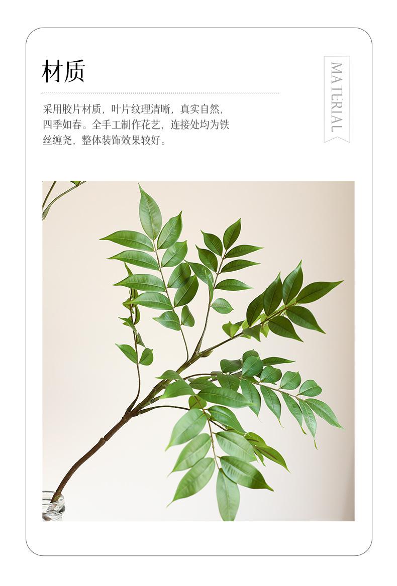 南天竹-漆木_02.jpg