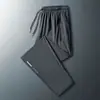 Pantalones Transfronterizos de Seda de Hielo 2026 Delgados Transpirables de Secado Rápido Sueltos de Pierna Recta Modernos de Moda Atractivos Pantalones Casuales de Verano para Hombre