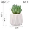 Planta Suculenta Simulada Macetas, Decoración de Muebles de Oficina Nórdicos, Nuevas Suculentas Bonsái Simuladas de Alta Calidad para el Hogar
