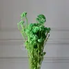 Flores de Mijo Conservadas Blancas, Flores de Mijo Secas, Venta al por Mayor desde Fabricante, Materiales para Uñas Hechas a Mano DIY