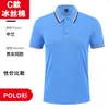 Ropa de Trabajo de Seda Helada de Verano Camiseta de Manga Corta Formulación logo Cultura Publicitaria Camisa Polo Ropa de Clase Fiesta Ropa de Negocios
