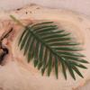 Adorno de Hoja Única de Palmera Areca Artificial Estilo Nórdico, Hoja de Coco para Arreglo Floral, Palmera Areca Artificial de Tacto Realista Venta al por Mayor