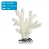 Paisajismo Personalizado para Acuarios, Escenario de Decoración de Coral Simulado, Plantas Acuáticas Simuladas Submarinas, Tanque de Agua Salada, Adornos para Acuarios, Ideas Creativas