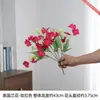 Conjunto de Flores Artificiais de Orquídea Tailandesa para Vitrine, Decoração de Cabeceira de Pousada, Adereços de Fotografia, Buquê de Atmosfera Suave e Curativa