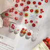 Pegatinas para Uñas Jelly Transparente Hielo Ojo de Gato Estilo Ins Pegatinas para Uñas Tomate Tomate Material de Pegatina