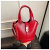 Bolso de Cubo de Mano de Estilo Nicho Transfronterizo para Mujer 2025 Nuevo Casual Versátil para Viajar al Trabajo Bolso de Hombro Cruzado