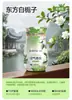 Ambientador de aire de 260 ml Bob Esponja co-branded NetEase Yanyuan para eliminar olores y desodorizar el baño