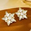 Brincos de estrela de cinco pontas super flash transfronteiriços novos brincos de estrela de diamante de luxo francês brincos brincos europeus e americanos atacado
