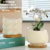 Maceta de cerámica de una pieza para el cabello, extragrande, ligera, de lujo, estilo Ins, de alta calidad, para el hogar, con flores carnosas de Phalaenopsis.