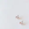 Aretes de Cereza Dulce para Mujer, Estilo Dulce y Fresco Ins Sexy Elegante, Aretes Sencillos, Lujo Accesible Diseño de Nicho, Accesorios Versátiles