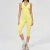 Conjunto feminino de moda casual solto transfronteiriço europeu e americano, conjunto de yoga escovado, conjunto de duas peças para esportes ao ar livre 3109