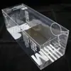 Fabricante de Origen de Dongguan Procesa Cajas de Embalaje para Alimentos de Mascotas de Polen de Pino de PVC, Cajas de Plástico PP, Cajas de Color, Cajas de Regalo con Tapas