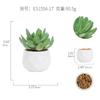 Planta en Maceta de Plástico Suculenta Simulada Planta Verde Decoración Creativa con Forma de Diamante para Escritorio de Oficina Mini Adorno