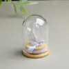 Piedra Cruda de Cristal Natural Citrino Amatista Diente de Cristal Racimo de Cristales Adornos de Botella de los Deseos Adornos Decorativos de Micro Paisaje de Escritorio