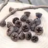 Materiais de Flores Secas Galhos Bolotas Pinhas Algodão Vagens de Lótus Jardim de Infância Artesanato Velas Aromáticas Fatias Decoração Adereços para Fotos