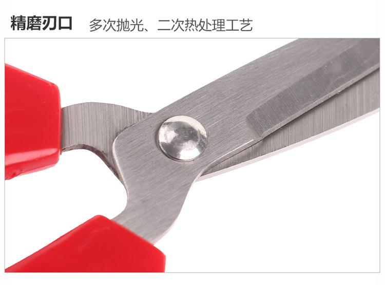 4042499471_2128044729