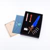 Set de pluma de inmersión de pluma retro estilo europeo, pluma de pluma de color sólido, plumín reemplazable, regalo creativo para las fiestas