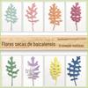 Crisântemo folha de prata flor seca flor flutuante espécime narciso flor eterna cabeça de flor de margarida Cola de gota DIY Material de flor preenchido com cristal