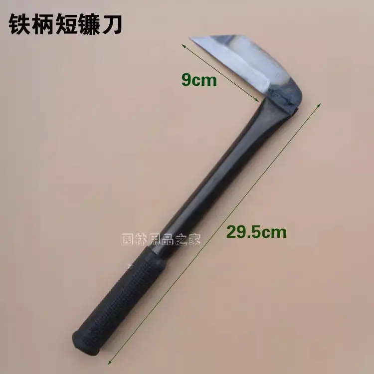 微信图片_202410242021391.jpg