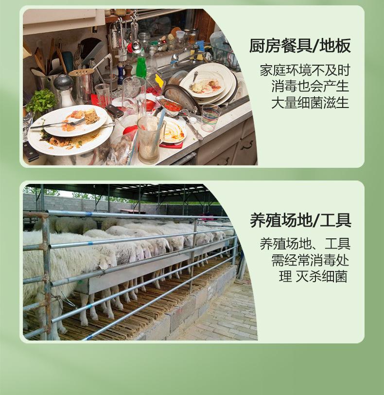 B端84消毒液_09.jpg