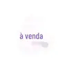 TEMU geração transfronteiriça cabelo shampoo de silicone shampoo para o couro cabeludo escova de massagem para a cabeça pente para shampoo fabricantes de shampoo