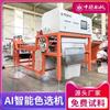 Máquina clasificadora por color de semillas de pimienta alemana de China Máquina tamizadora automática de anís Equipo clasificador inteligente de colores CCD