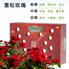 Serie Cielo Estrellado Bálsamo Fragancia para Coche Aromaterapia Sólida Perfume para Coche Fragancia Ligera de Larga Duración para Interior de Coche Decoración de Fragancia para Coche