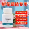 Pastillas para remojar flores de dióxido de cloro 84, pastillas esterilizantes especiales para el cuidado de flores y plantas en guarderías, conservante para flores cortadas