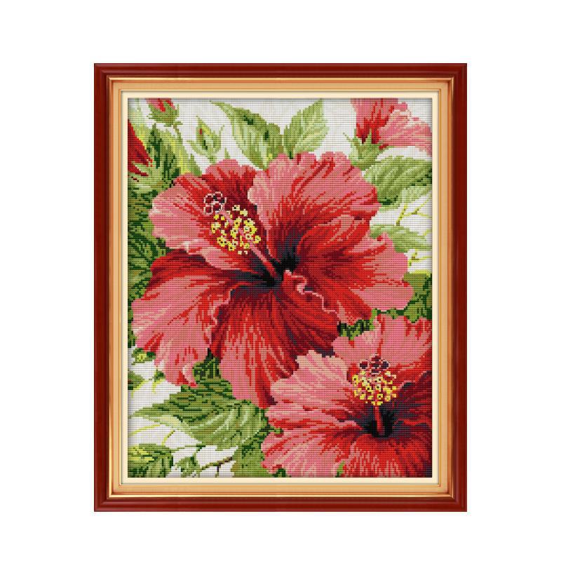 H953 红色芙蓉花.jpg