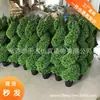 Árbol artificial con forma de serpiente árbol artificial hoja de bayas de cera planta verde artificial hermosa decoración nórdica tamaño grande, mediano y pequeño