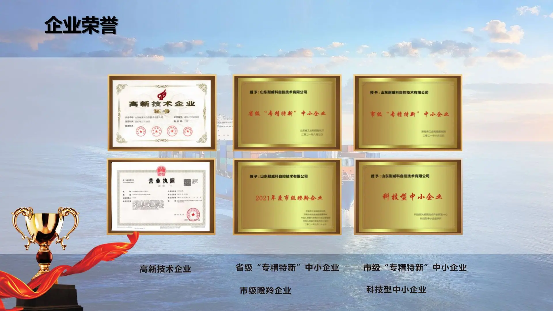 耐威科产品及案例介绍_06(1)