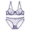 Roupas Íntimas de Renda Transfronteiriças Puro Desejo Verão Finas para Mulheres Seios Grandes Mostrando Seios Pequenos Sutiã Respirável Conjunto de Sutiã Sexy