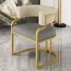 Silla Sofá de Lujo Sencillo para el Hogar Silla de Ocio para Apartamento Pequeño Sala de Estar Sofá Individual Tocador de Dormitorio Silla de Maquillaje
