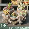 Maceta Creativa de Gran Calibre para Suculentas de Tamaño Grande Imitación Madera Forma Irregular Múltiples Agujeros Multicapa Raíz de Árbol Maceta para Flores Resina No Cerámica Kaka Hu