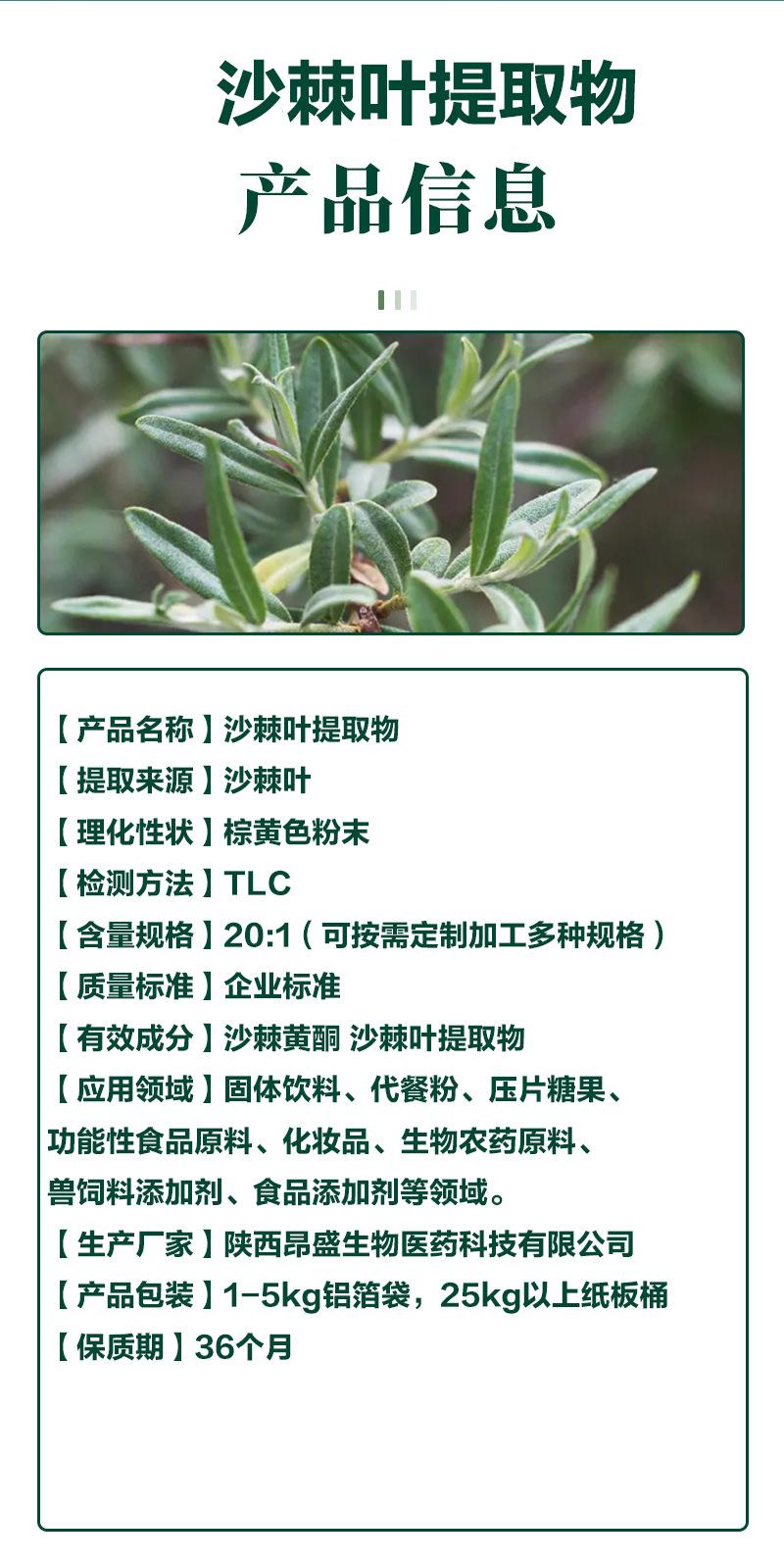 沙棘叶文