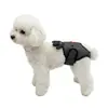 Pantalones Fisiológicos para Perra Oso Navideño Malla Transpirable Anti-Manchas de Orina Anti-Fugas Laterales Teddy Bichón Perros Pequeños y Medianos Pantalones Sanitarios
